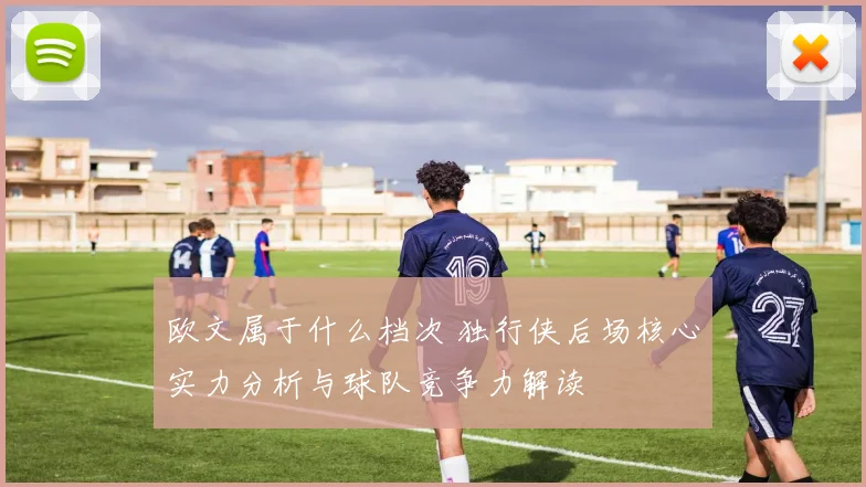 欧文属于什么档次 独行侠后场核心实力分析与球队竞争力解读