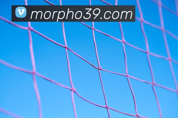 世界杯官网平台品牌故事