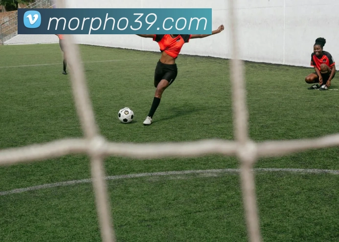 世界杯官网平台服务体系